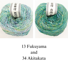 Load image into Gallery viewer, Short and Sweet Top Knitting Kit | Noro Kakigori &amp; Knitting Pattern
