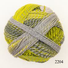 Load image into Gallery viewer, Schoppel Wolle Zauberball Crazy
