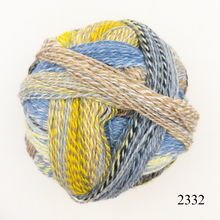 Load image into Gallery viewer, Schoppel Wolle Zauberball Crazy
