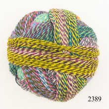 Load image into Gallery viewer, Schoppel Wolle Zauberball Crazy
