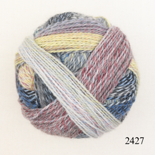 Load image into Gallery viewer, Schoppel Wolle Zauberball Crazy
