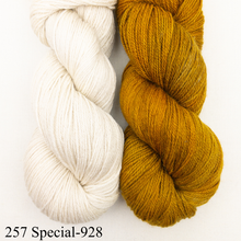 Load image into Gallery viewer, Artyarns Key of Life Shawl Knitting Kit | Artyarns Merino Cloud &amp; Knitting Pattern
