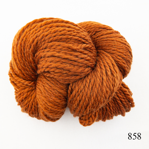 Game Day Striped Scarf Knitting Kit | Cascade 128 & Knitting Pattern (#281B)