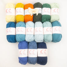 Load image into Gallery viewer, Jakers Pullover Knitting Kit | Ella Rae Cashmereno Sport
