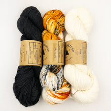 Load image into Gallery viewer, Prismatic Wrap Knitting Kit | Madelinetosh Pashmina
