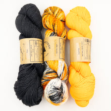 Load image into Gallery viewer, Prismatic Wrap Knitting Kit | Madelinetosh Pashmina
