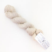 Load image into Gallery viewer, Artyarns Cashmere Glitter
