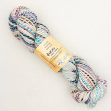 Load image into Gallery viewer, Feederbrook Farm Entropy  Superwash Merino Bulky
