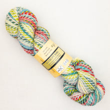 Load image into Gallery viewer, Feederbrook Farm Entropy  Superwash Merino Bulky
