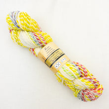 Load image into Gallery viewer, Feederbrook Farm Entropy  Superwash Merino Bulky
