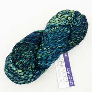 Malabrigo Caracol