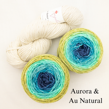 Load image into Gallery viewer, Slip Stitch Scarf Knitting Kit | Anzula For Better or Worsted, Freia Superwash Merino Silk Worsted &amp; Knitting Pattern (#089)
