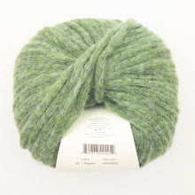 Load image into Gallery viewer, A skein of green Beatrix yarn in color Thyme
