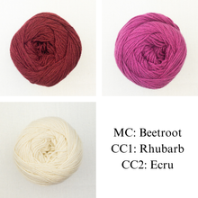 Load image into Gallery viewer, Honey Petal Cardigan Knitting Kit | Queensland United
