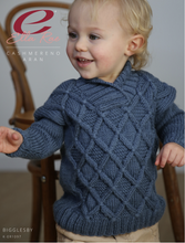 Load image into Gallery viewer, Bigglesby Baby Sweater Knitting Kit | Ella Rae Cashmereno Aran &amp; Knitting Pattern
