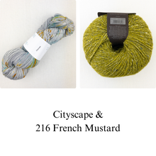 Load image into Gallery viewer, Filoli Cowl Knitting Kit | Baah Sonoma &amp; Rowan Felted Tweed
