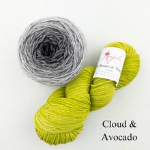 Load image into Gallery viewer, Brioche ShareCare Hat Knitting Kit | Freia Handpaints Superwash Merino Silk Worsted &amp; Anzula For Better or Worsted
