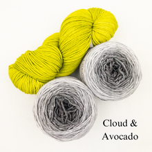 Load image into Gallery viewer, Slip Stitch Scarf Knitting Kit | Anzula For Better or Worsted, Freia Superwash Merino Silk Worsted &amp; Knitting Pattern (#089)
