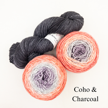 Load image into Gallery viewer, Slip Stitch Scarf Knitting Kit | Anzula For Better or Worsted, Freia Superwash Merino Silk Worsted &amp; Knitting Pattern (#089)
