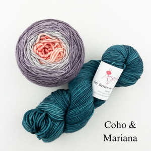 Brioche ShareCare Hat Knitting Kit | Freia Handpaints Superwash Merino Silk Worsted & Anzula For Better or Worsted