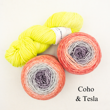 Load image into Gallery viewer, Slip Stitch Scarf Knitting Kit | Anzula For Better or Worsted, Freia Superwash Merino Silk Worsted &amp; Knitting Pattern (#089)
