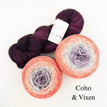 Load image into Gallery viewer, Slip Stitch Scarf Knitting Kit | Anzula For Better or Worsted, Freia Superwash Merino Silk Worsted &amp; Knitting Pattern (#089)
