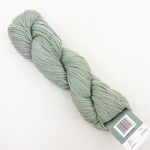 Load image into Gallery viewer, A skein of green grey Plymouth DK Merino Superwash yarn on a white background.
