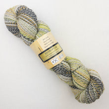 Load image into Gallery viewer, Multicolored skein of Feederbrook Entropy DK yarn.
