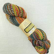 Load image into Gallery viewer, Multicolored skein of Feederbrook Entropy DK yarn.

