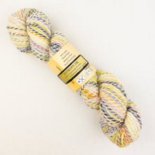 Load image into Gallery viewer, Multicolored skein of Feederbrook Entropy DK yarn.
