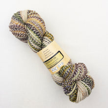 Load image into Gallery viewer, Multicolored skein of Feederbrook Entropy DK yarn.
