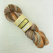 Load image into Gallery viewer, Multicolored skein of Feederbrook Entropy DK yarn.
