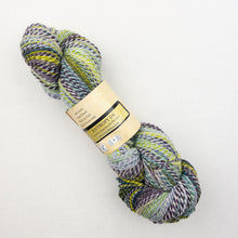 Load image into Gallery viewer, Multicolored skein of Feederbrook Entropy DK yarn.
