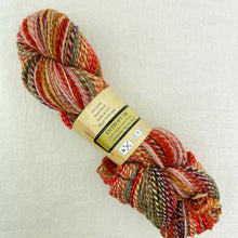 Load image into Gallery viewer, Multicolored skein of Feederbrook Entropy DK yarn.
