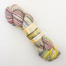 Load image into Gallery viewer, Multicolored skein of Feederbrook Entropy DK yarn.
