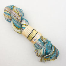 Load image into Gallery viewer, Multicolored skein of Feederbrook Entropy DK yarn.
