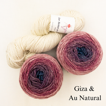 Load image into Gallery viewer, Slip Stitch Scarf Knitting Kit | Anzula For Better or Worsted, Freia Superwash Merino Silk Worsted &amp; Knitting Pattern (#089)
