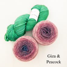 Load image into Gallery viewer, Slip Stitch Scarf Knitting Kit | Anzula For Better or Worsted, Freia Superwash Merino Silk Worsted &amp; Knitting Pattern (#089)
