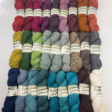 Load image into Gallery viewer, A collection of Queensland Kathmandu Aran tweed yarn skeins in various colors including black, blue, brown, green, grey, orange, pink, red, white, and yellow.
