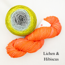 Load image into Gallery viewer, Brioche ShareCare Hat Knitting Kit | Freia Handpaints Superwash Merino Silk Worsted &amp; Anzula For Better or Worsted
