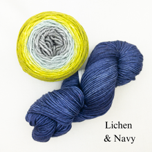 Load image into Gallery viewer, Brioche ShareCare Hat Knitting Kit | Freia Handpaints Superwash Merino Silk Worsted &amp; Anzula For Better or Worsted
