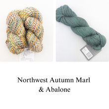 Load image into Gallery viewer, Linen Stitch Cowl Knitting Kit | Tanglewood Cashmere, Road to China Light &amp; Knitting Pattern (#228)
