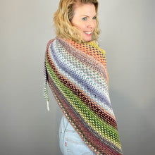 Load image into Gallery viewer, Nightshift Shawl Knitting Kit | Feederbrook Farm Entropy Superwash Merino DK
