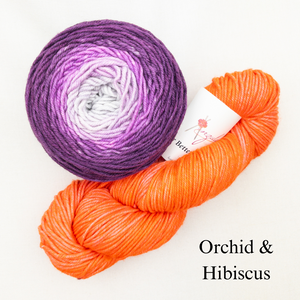 Brioche ShareCare Hat Knitting Kit | Freia Handpaints Superwash Merino Silk Worsted & Anzula For Better or Worsted