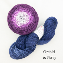 Load image into Gallery viewer, Brioche ShareCare Hat Knitting Kit | Freia Handpaints Superwash Merino Silk Worsted &amp; Anzula For Better or Worsted
