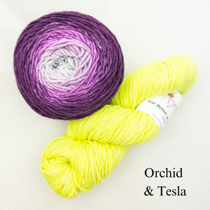 Brioche ShareCare Hat Knitting Kit | Freia Handpaints Superwash Merino Silk Worsted & Anzula For Better or Worsted