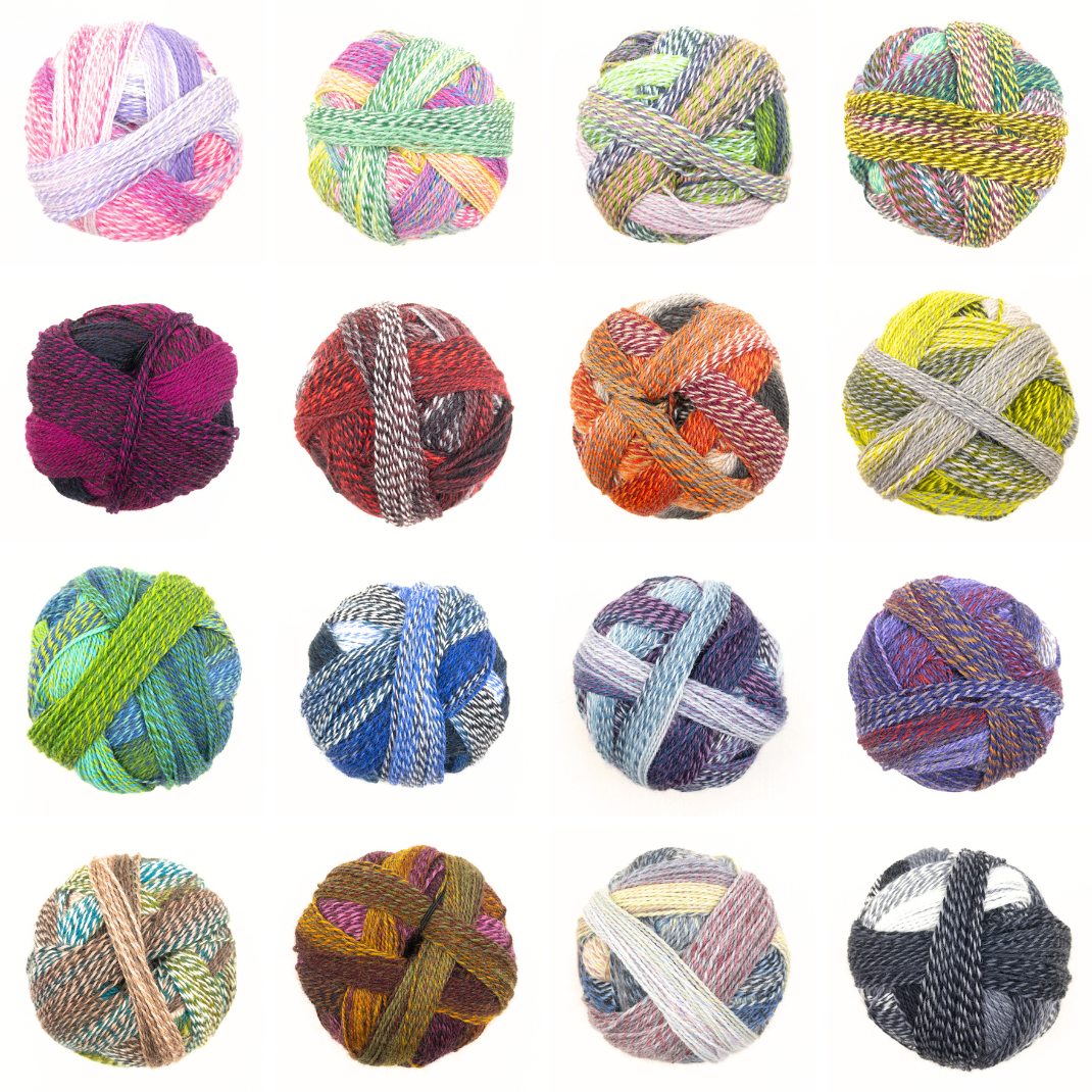 【マウル】サーベイル Schoppel Wolle Zauberball Crazy – ATELIER YARNS