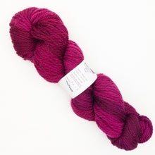 Load image into Gallery viewer, A skein of variegated maroon and purple Lorna's Laces Shepherd Bulky yarn on a white background
