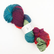 Load image into Gallery viewer, A skein of variegated maroon, teal and green Lorna's Laces Shepherd Bulky yarn on a white background

