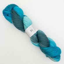 Load image into Gallery viewer, A blue variegated skein of Lorna's Lace Shepherd Worsted yarn
